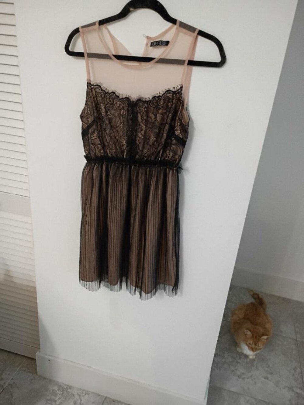 Love Culture Sleeveless Lace Tafetta Dress
